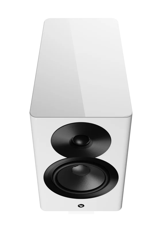 Dynaudio Focus 10
