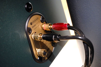 Monitor Audio Silver 100 7G Signature